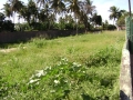 dsc09423