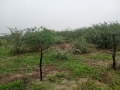 IMG_20250906_084621339_MFNR