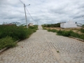 IMG-20220619-WA0002