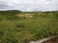 IMG-20220619-WA0004