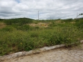 IMG-20220619-WA0005